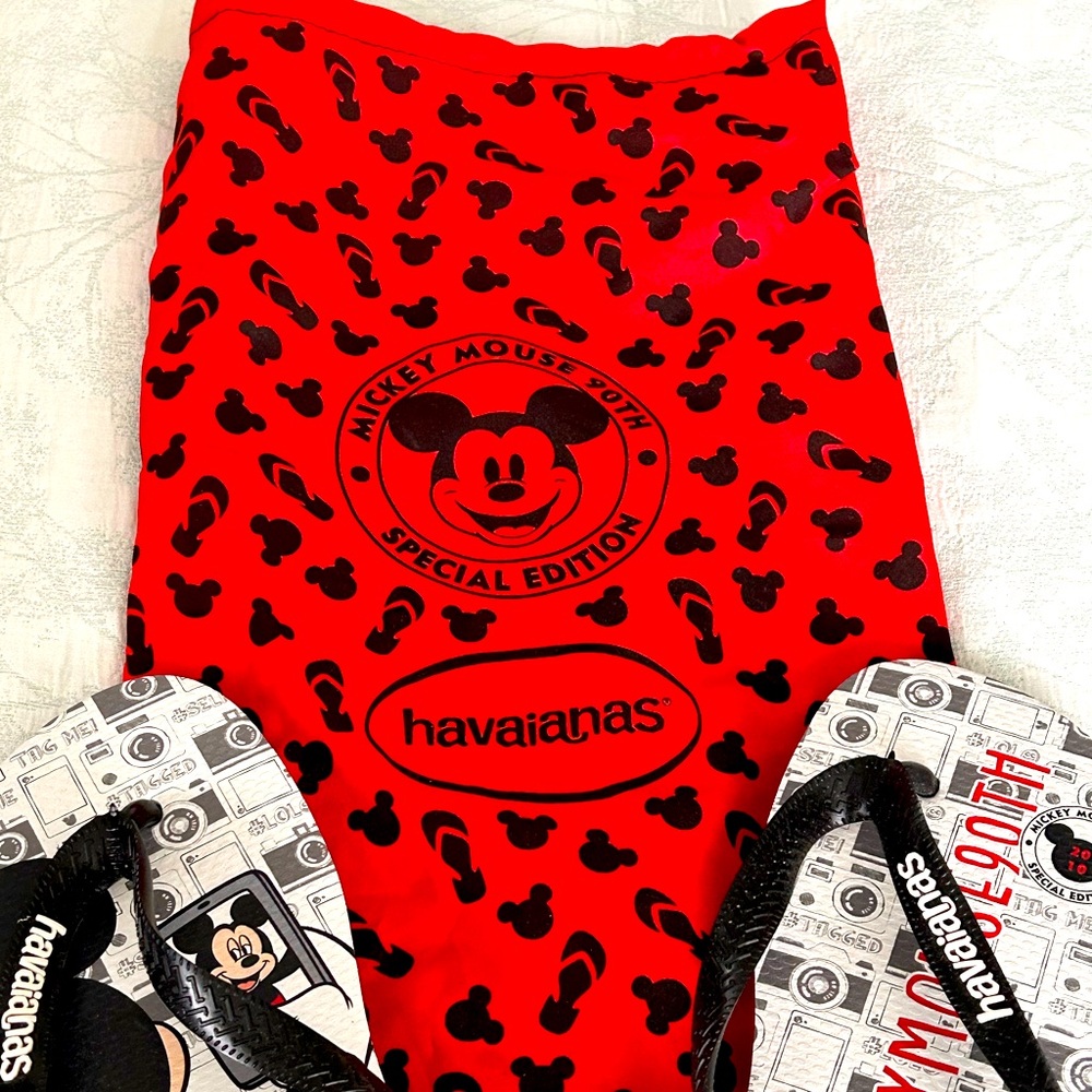 NWOT  Havainas flip flops